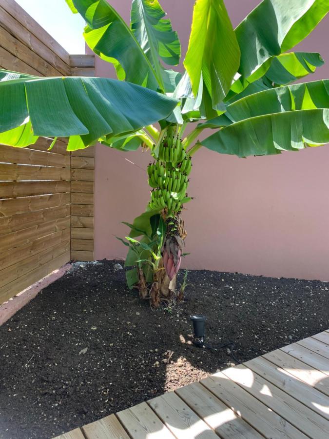 Kokogites, Bungalows Avec Piscines Privatives Saint-Francois  Exterior foto